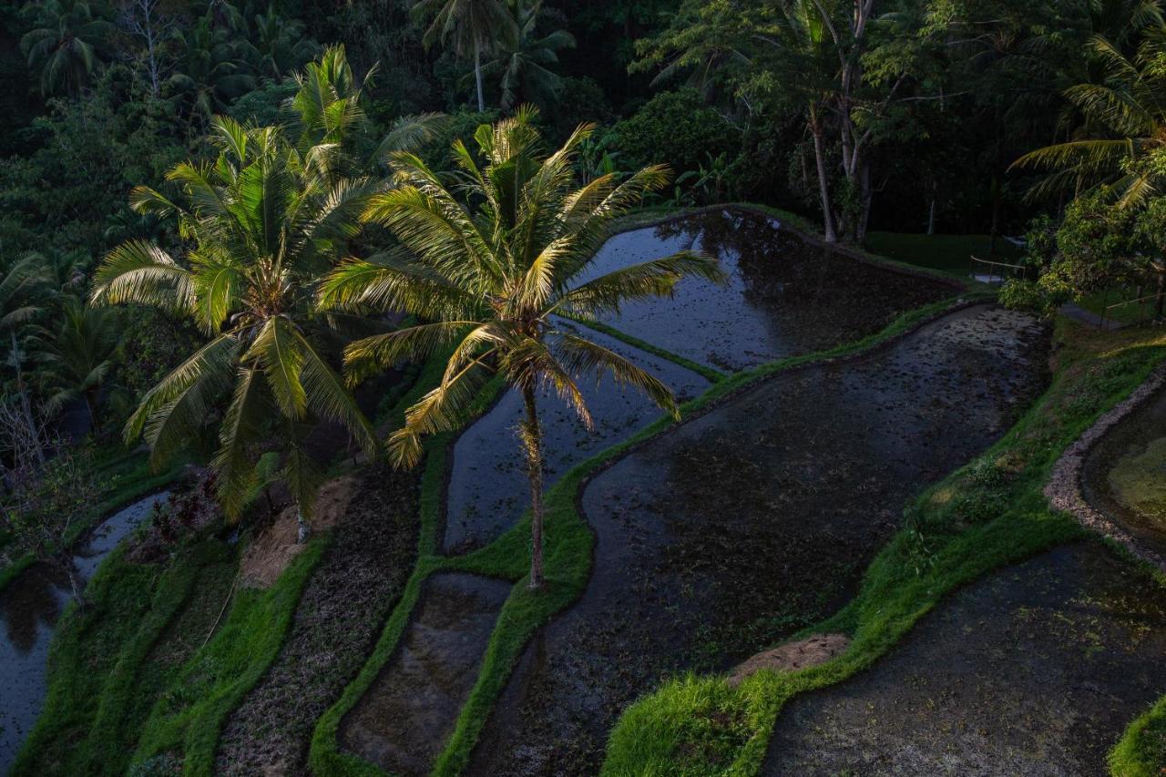 Komaneka At Bisma Ubud Exterior foto